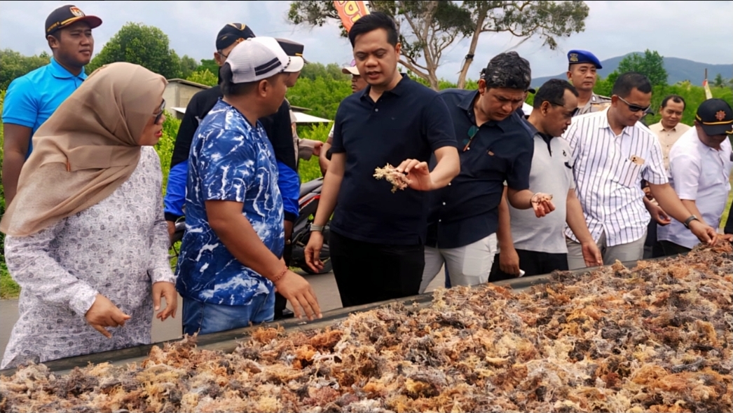 POTENSI BESAR BUDIDAYA RUMPUT LAUT KARIMUNJAWA, JEPARA TERIMA BANTUAN PUSAT SENILAI RP9 MILIAR UNTUK PENGEMBANGAN KAWASAN KONSERVASI<br>